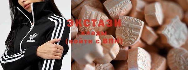 хмурый Алексин
