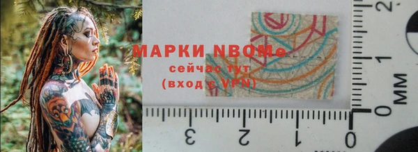 хмурый Алексин